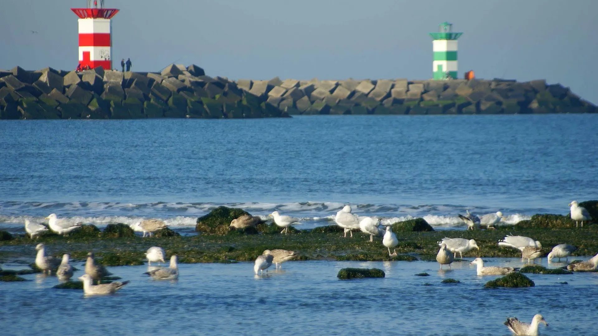 Boulevard Hotel Scheveningen La Haya 3*,  Países Bajos